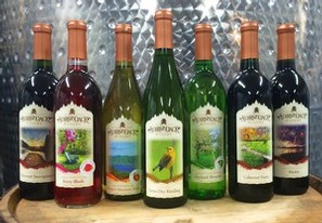 Adirondack Winery First Bottles Labeled with New Label